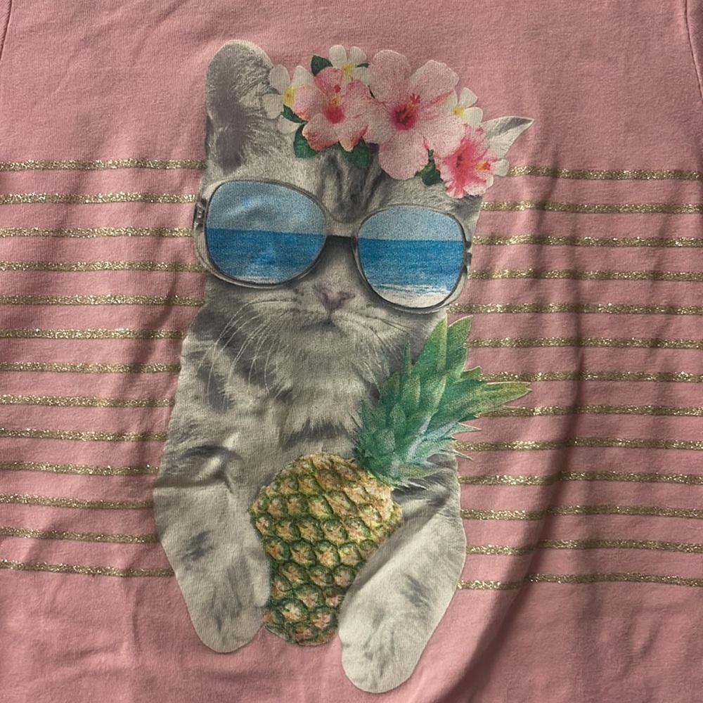 Kitty with a pineapple - Picture 2 of 8